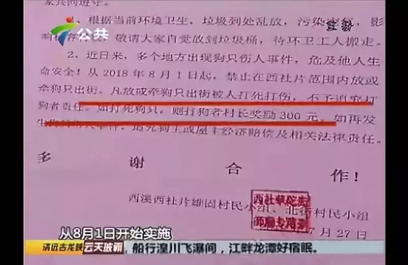 武汉禁狗令哪些品种,武汉养狗办证要在哪里办