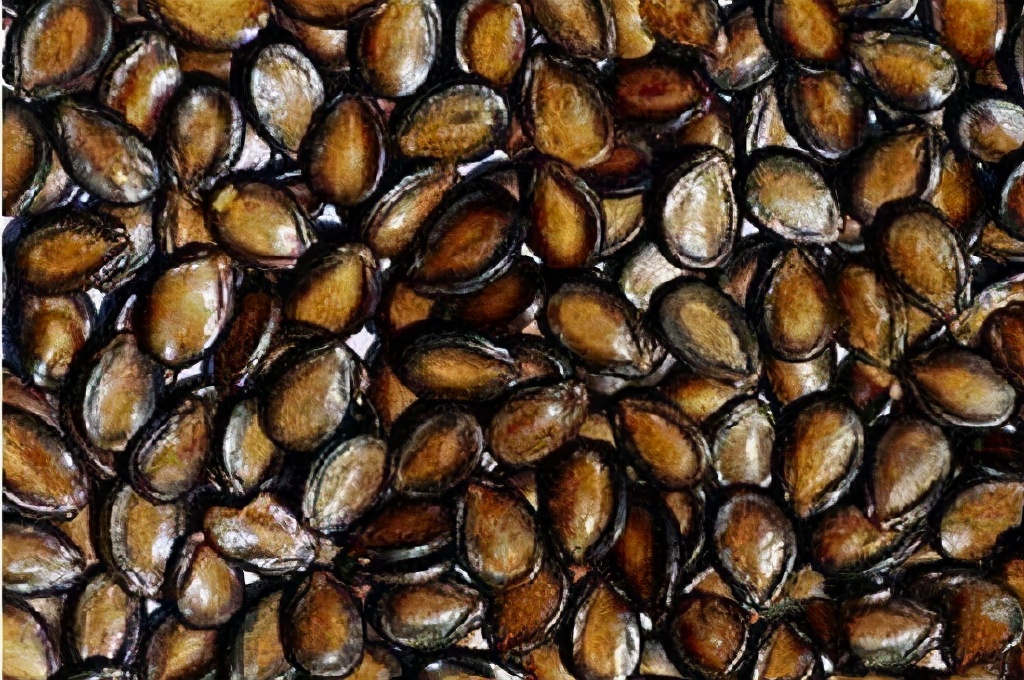 疆里疆外特产干果店新品推荐,来新疆不容错过的面食