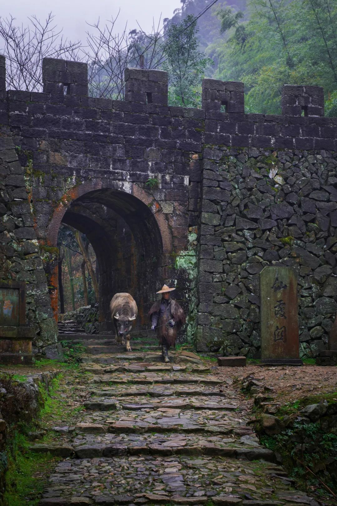 浙江的西南角，竟然藏着一片“大好江山”？