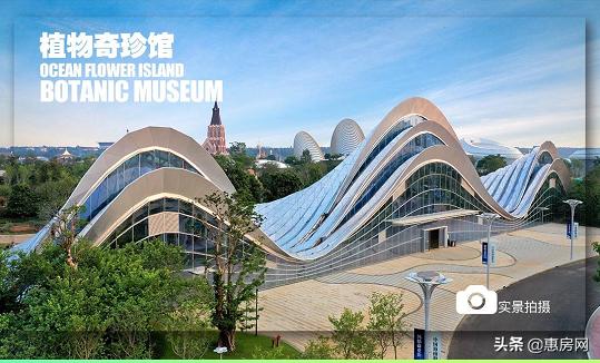 海花岛免税购物中心有哪些产品,海花岛哪里有特产卖