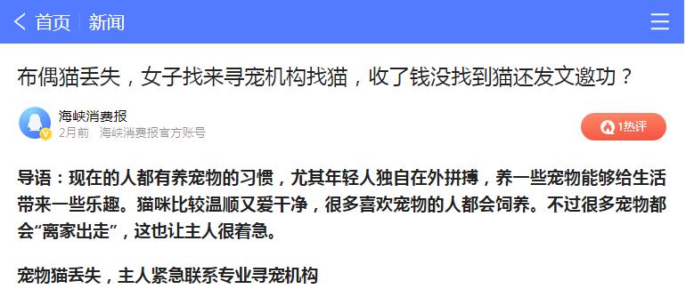 农村猫丢了找猫的窍门,在农村养的猫猫丢了怎么办