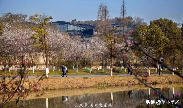 为什么好多人要上大专,为什么一定要上美院