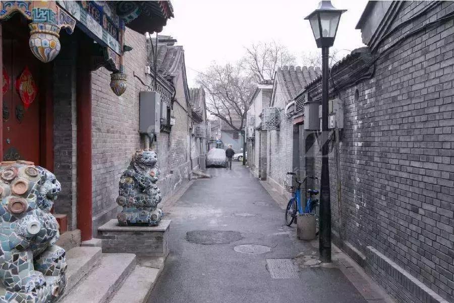 青苗夏令营活动,青苗夏令营