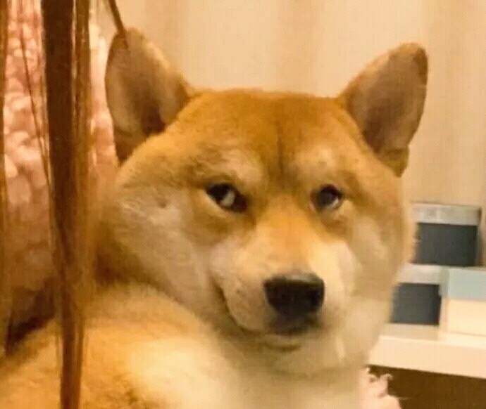 奇奇怪怪的网址,奇奇怪怪的网站图像