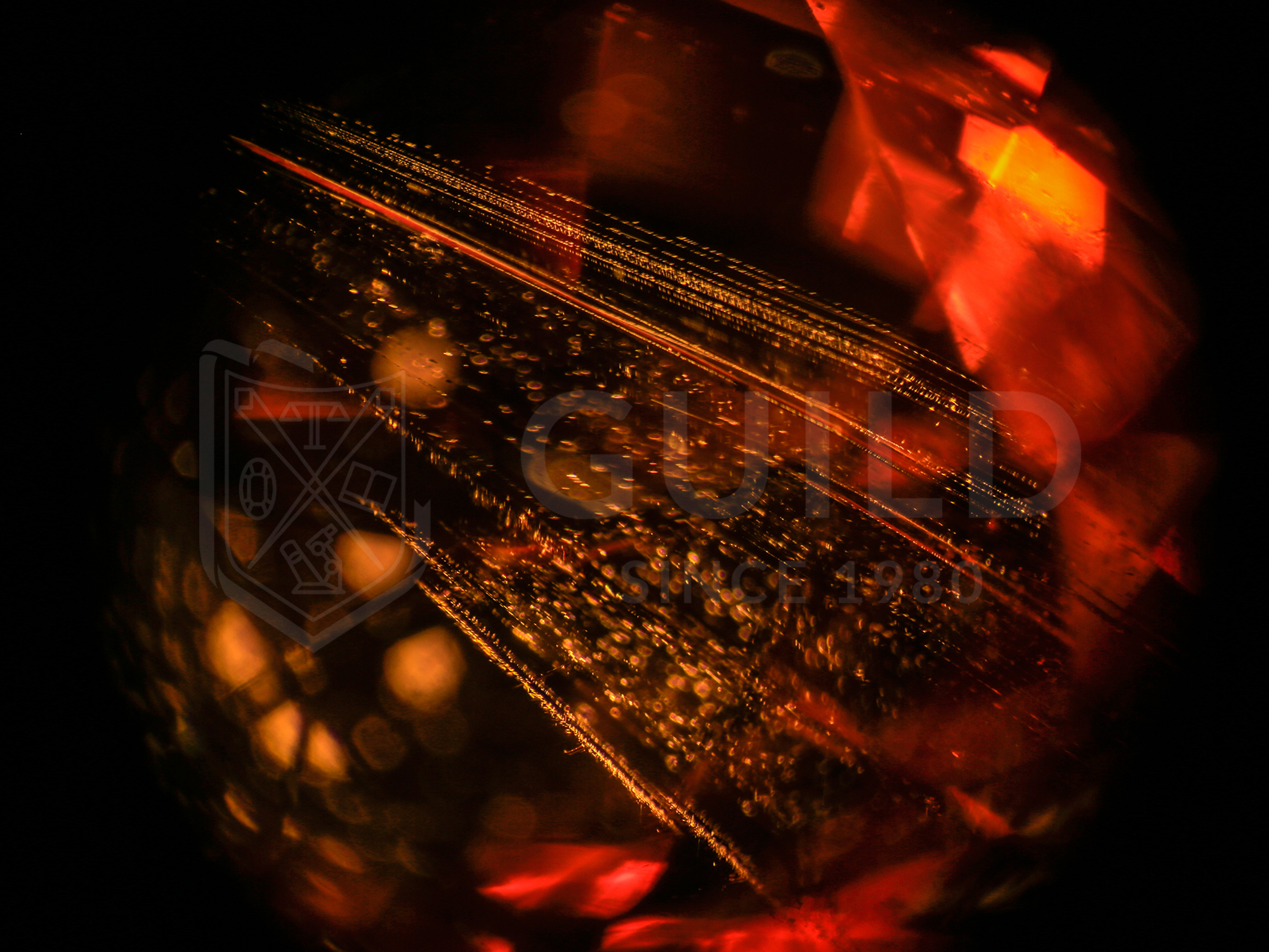 芬达乐趣,芬达清亮音色