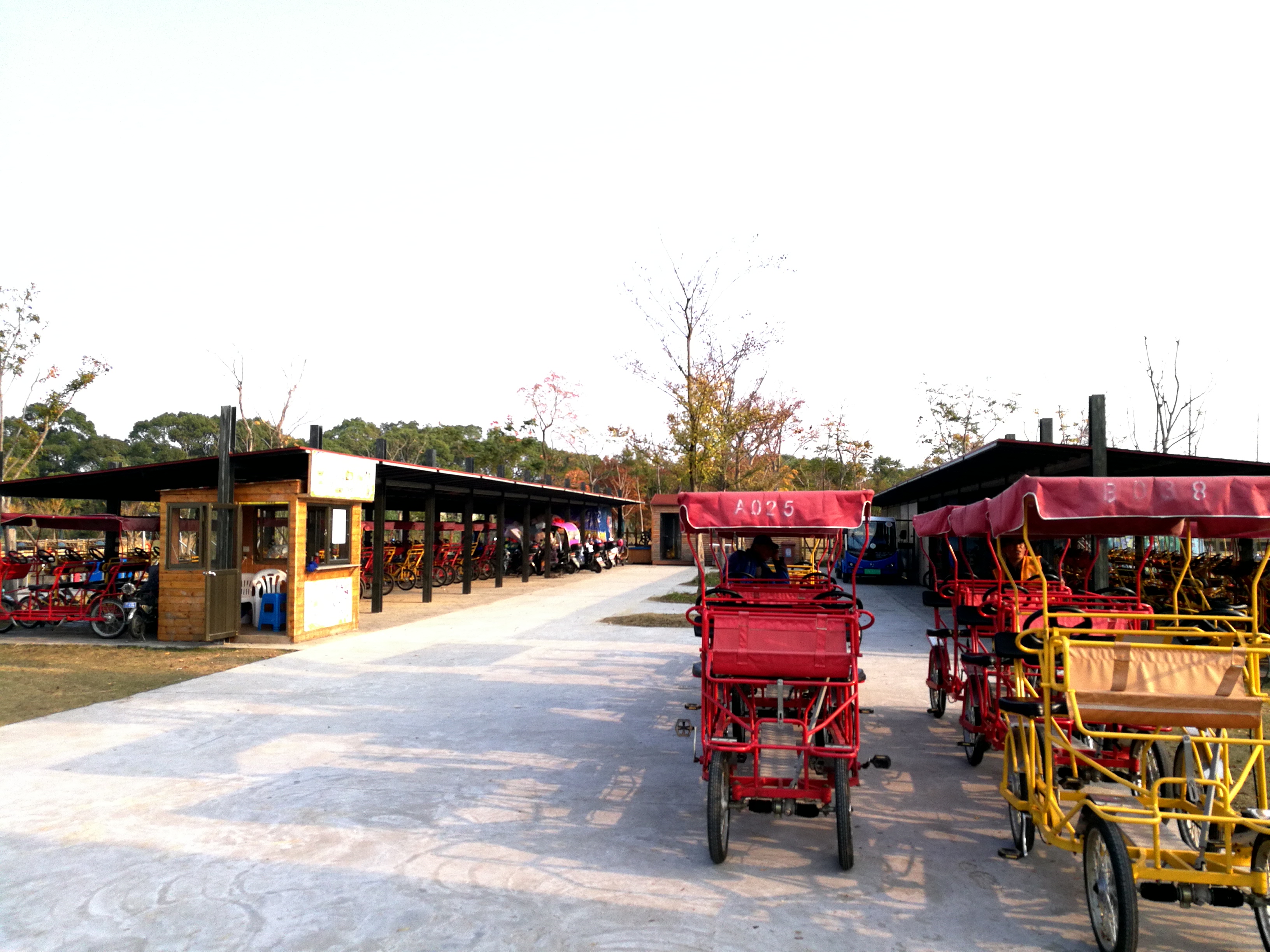 上海崇明岛郊野公园扩建工作,崇明长兴岛公园规划