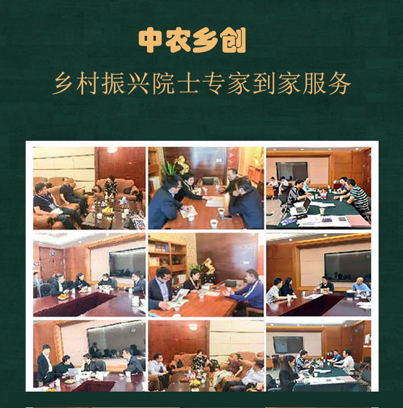 乡村振兴搞什么项目能挣钱,搞乡村振兴的真实目的