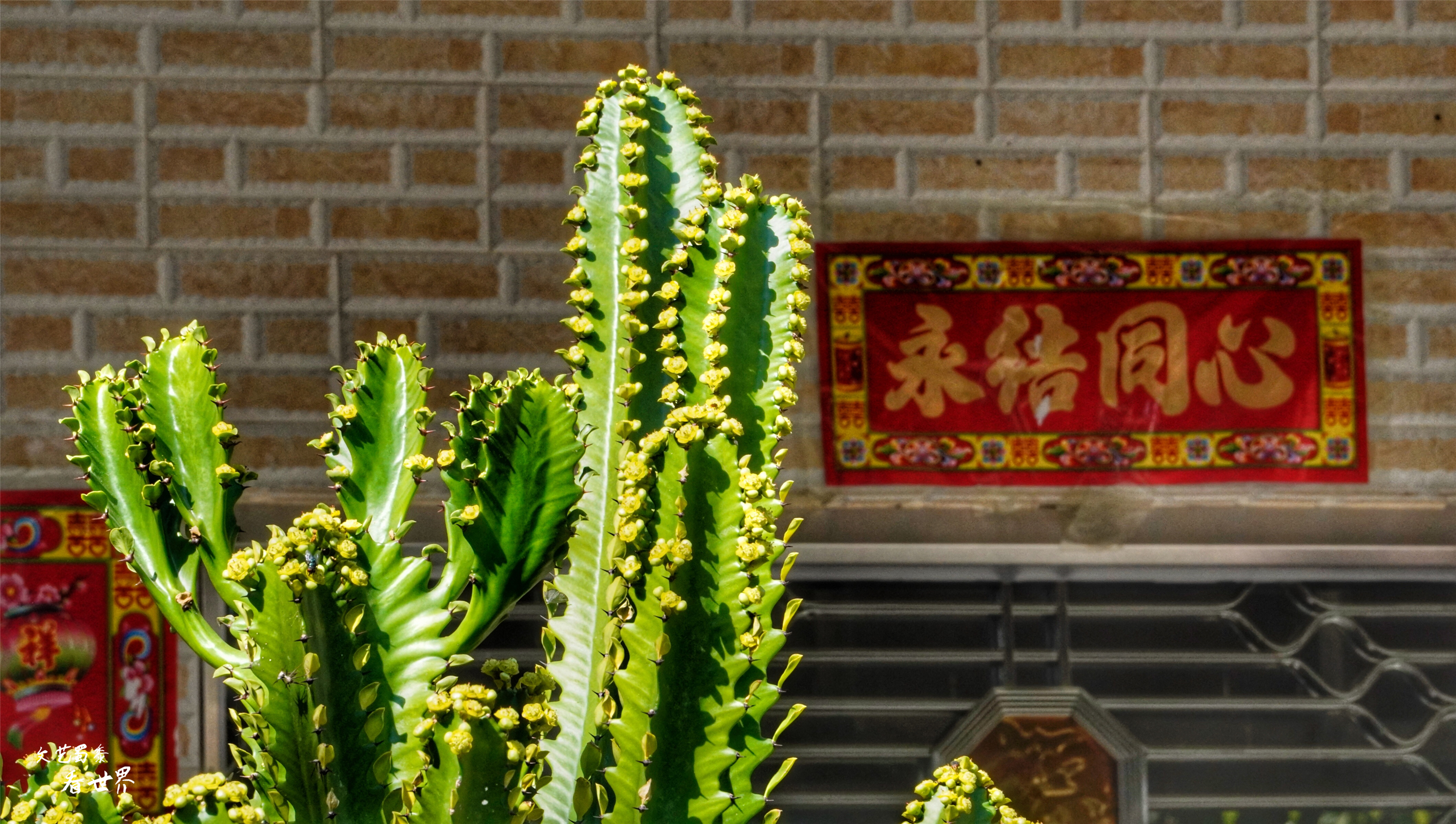 三亚旅游后海渔村,海棠湾后海除了冲浪还能干嘛