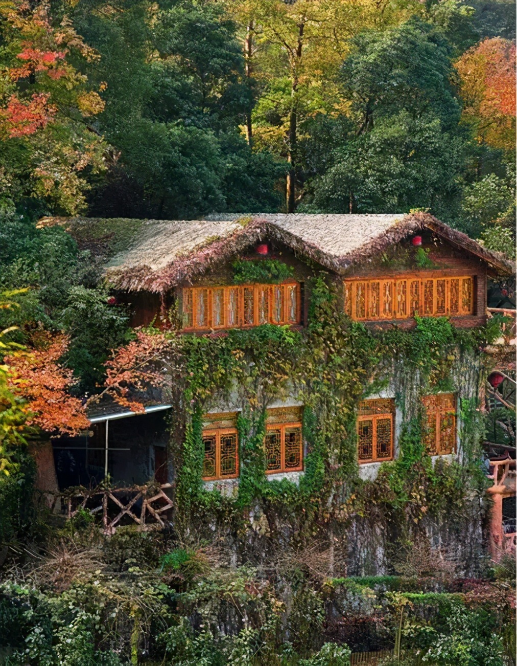 温州好玩的地方推荐吹台山公园,温州吹台山森林民宿门票