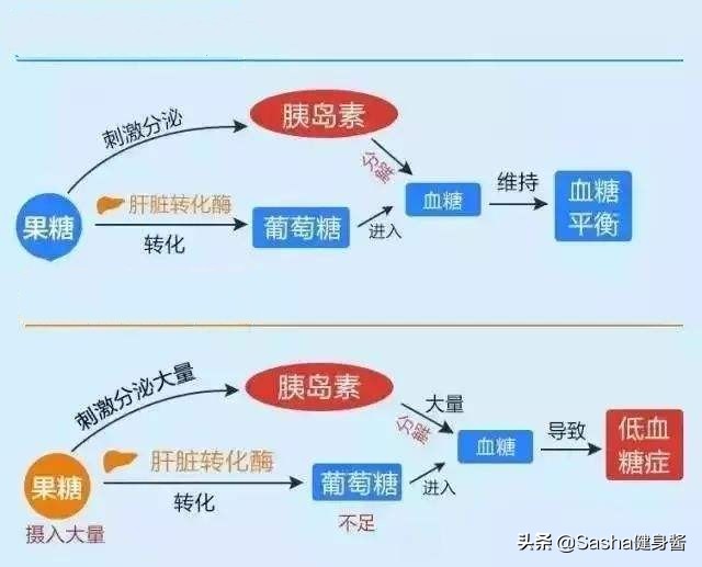 代餐减肥不科学更不健康,代餐减肥如何复食不反弹