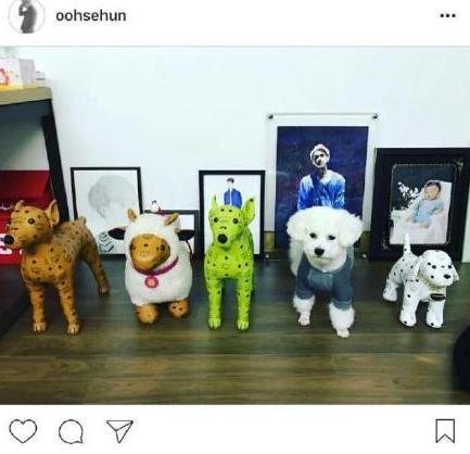 朴灿烈的多芬,多芬vivi吴世勋朴灿烈