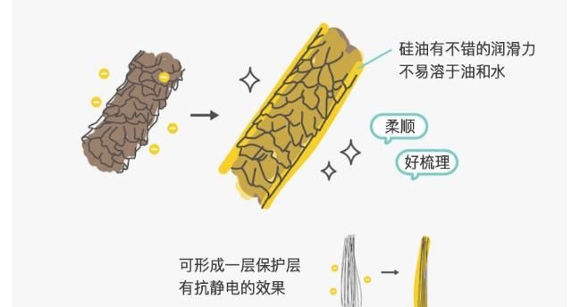 洗发水哪个牌子好？推荐全球口碑最好的洗发水