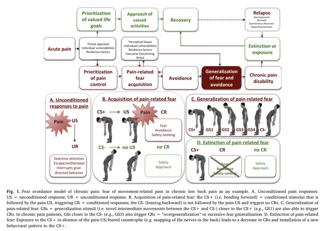 「典藏综述」百年条件恐惧研究，在慢性疼痛中“泛起的涟漪”
