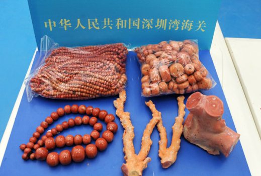 文玩流行的动物制品 (十种野生文玩)