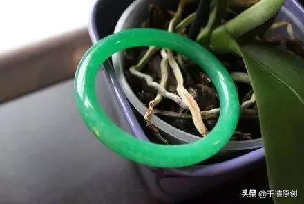 你的手镯买对了吗,你的玉镯子还好吗