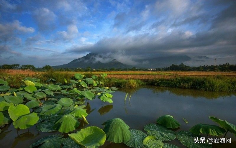 阳春田园风景视频,阳春春湾镇风景视频