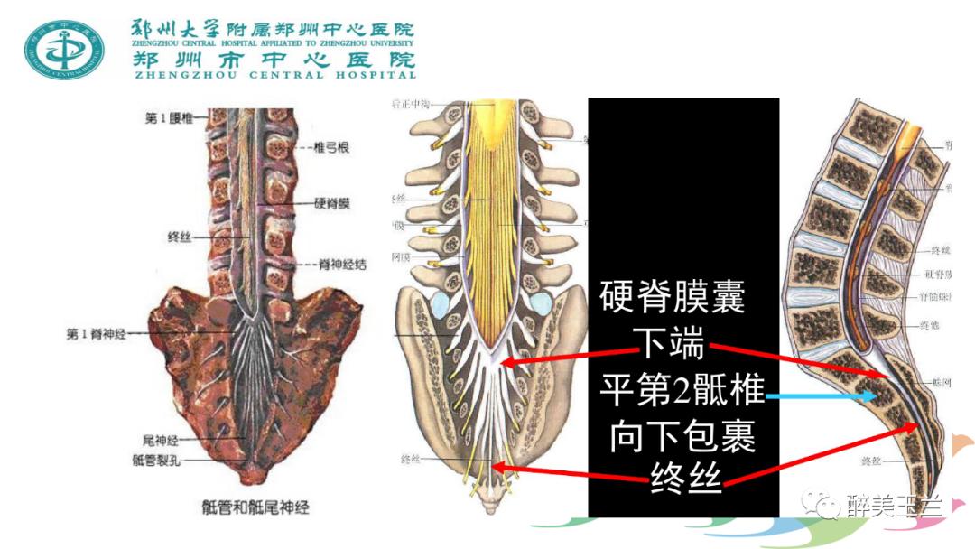 局麻药中毒的术前用药口诀,局麻药中毒临床表现及处理流程ppt