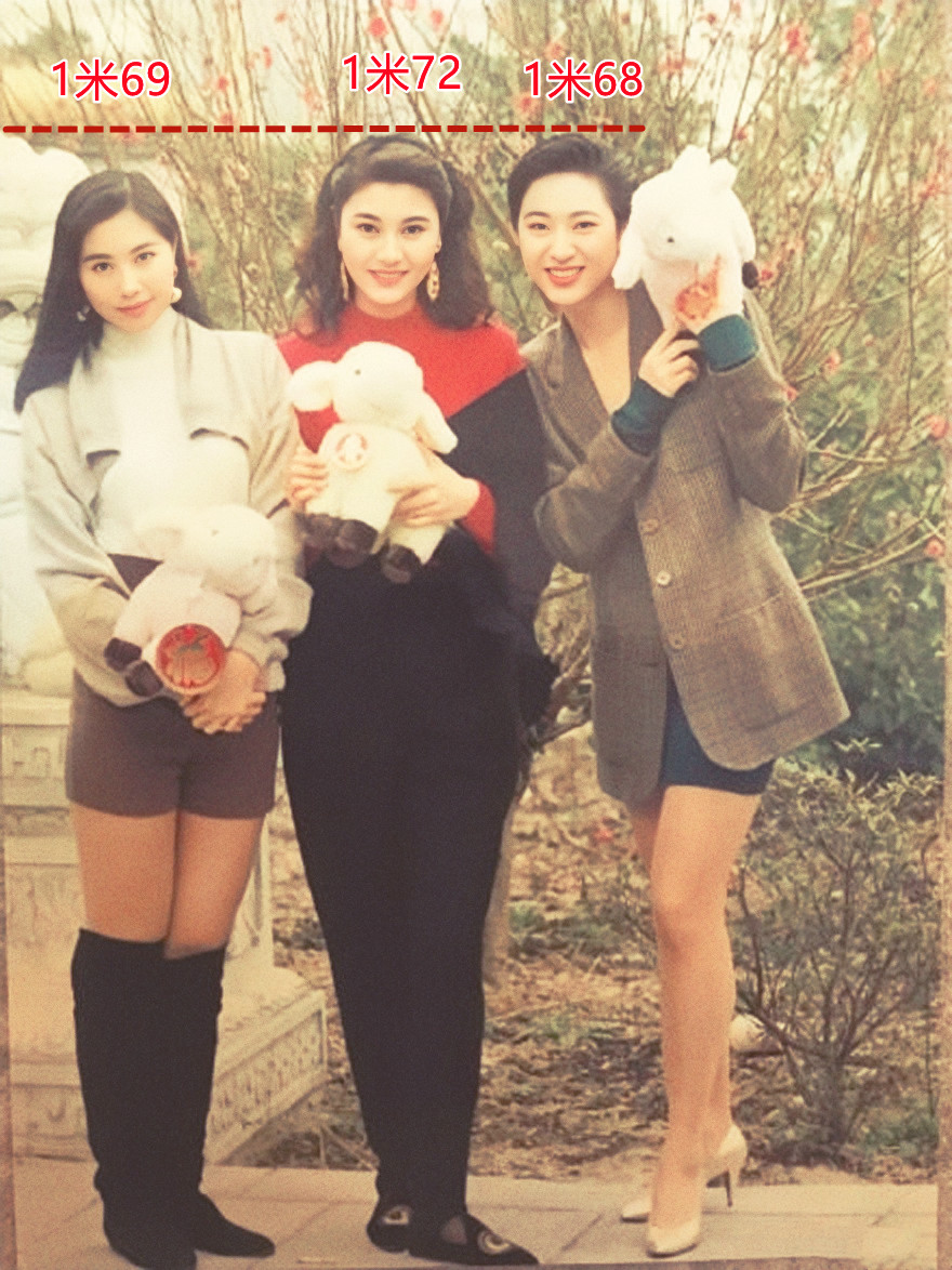 54岁的杨宝玲,杨宝玲婚后生活