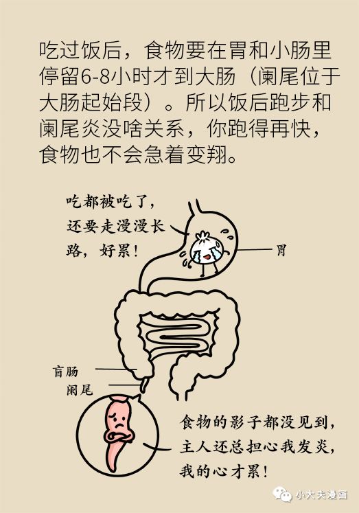 4岁小孩切除150厘米小肠,儿童小肠切除25cm多久能恢复