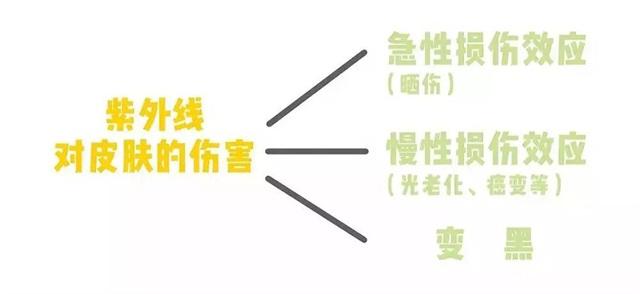 军训晒黑晚上用什么修复,军训晒后修护白天