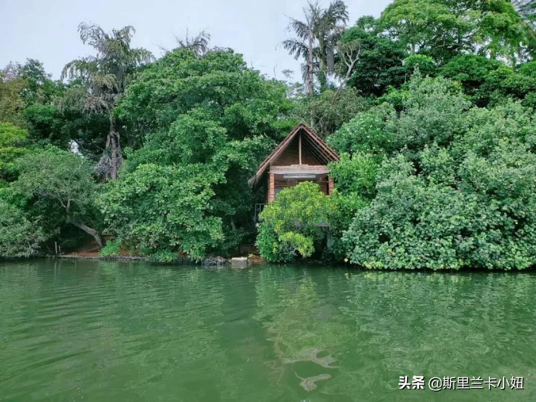 这座隐居别墅，上过设计杂志得过奖，是一位低调女主人的私宅