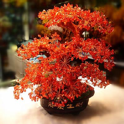 中华奇石图片,中华奇石自然景观