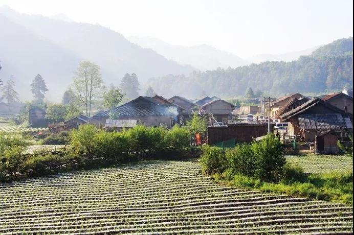 唐诗中的山水田园诗句,唐诗宋词中的田园生活