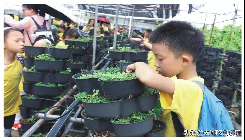 69.9抢惠州罗浮山漂流门票89元抢漂流门票+空中田园