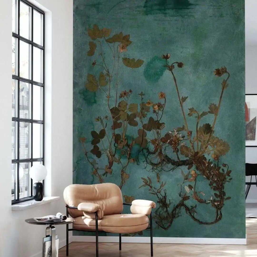 新房防甲醛的植物,新房防甲醛买什么植物