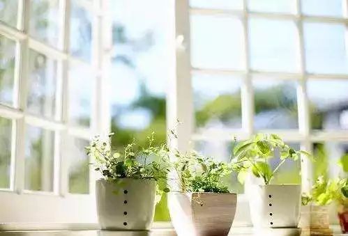 室内装修新风系统新风机,装修忘记装新风