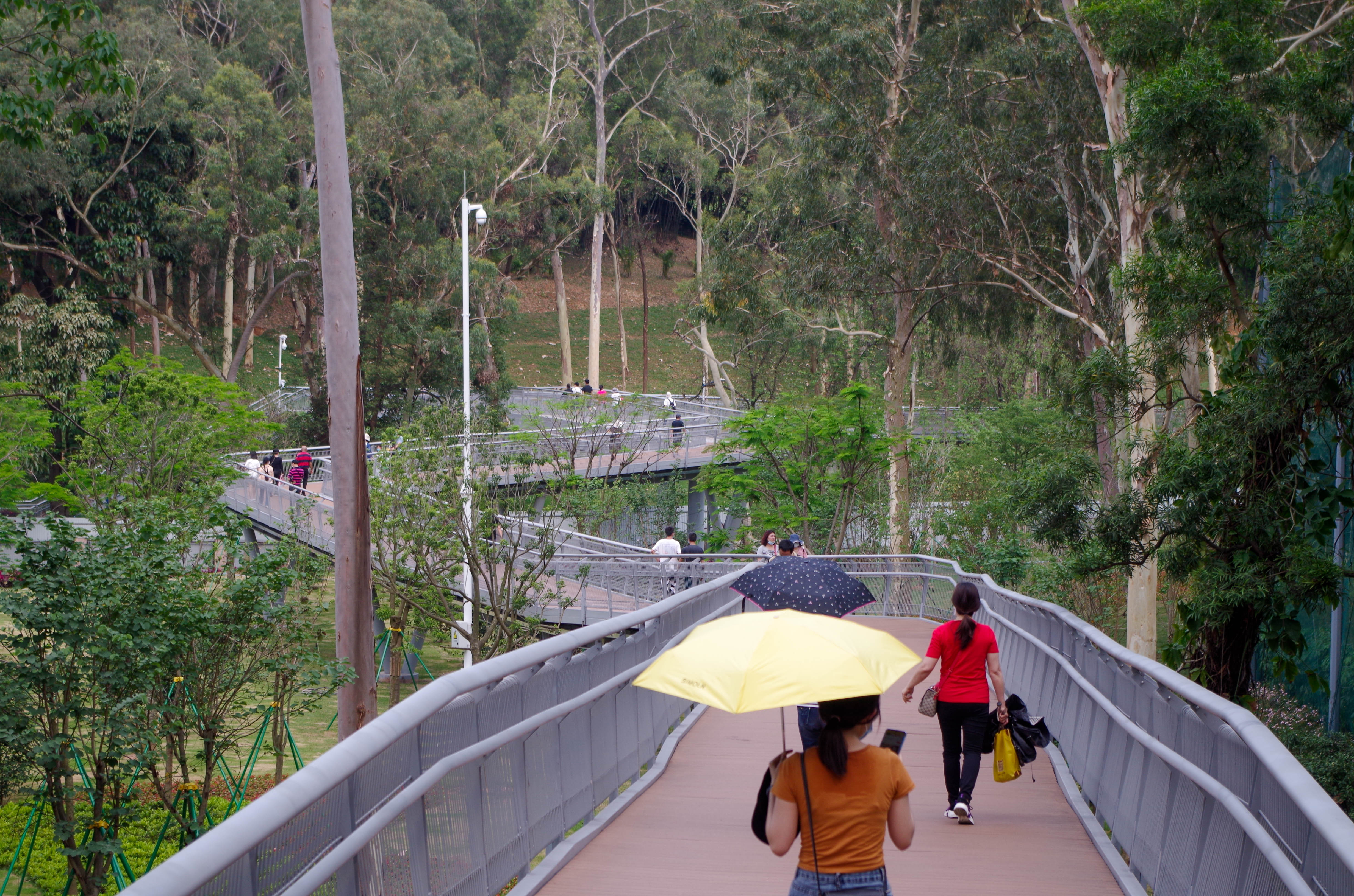广州云道线路图高清版大图,广州云道旅游装备推荐
