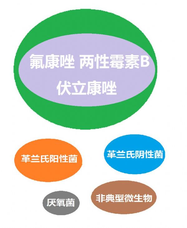 看图“话”抗菌谱，赶紧收藏