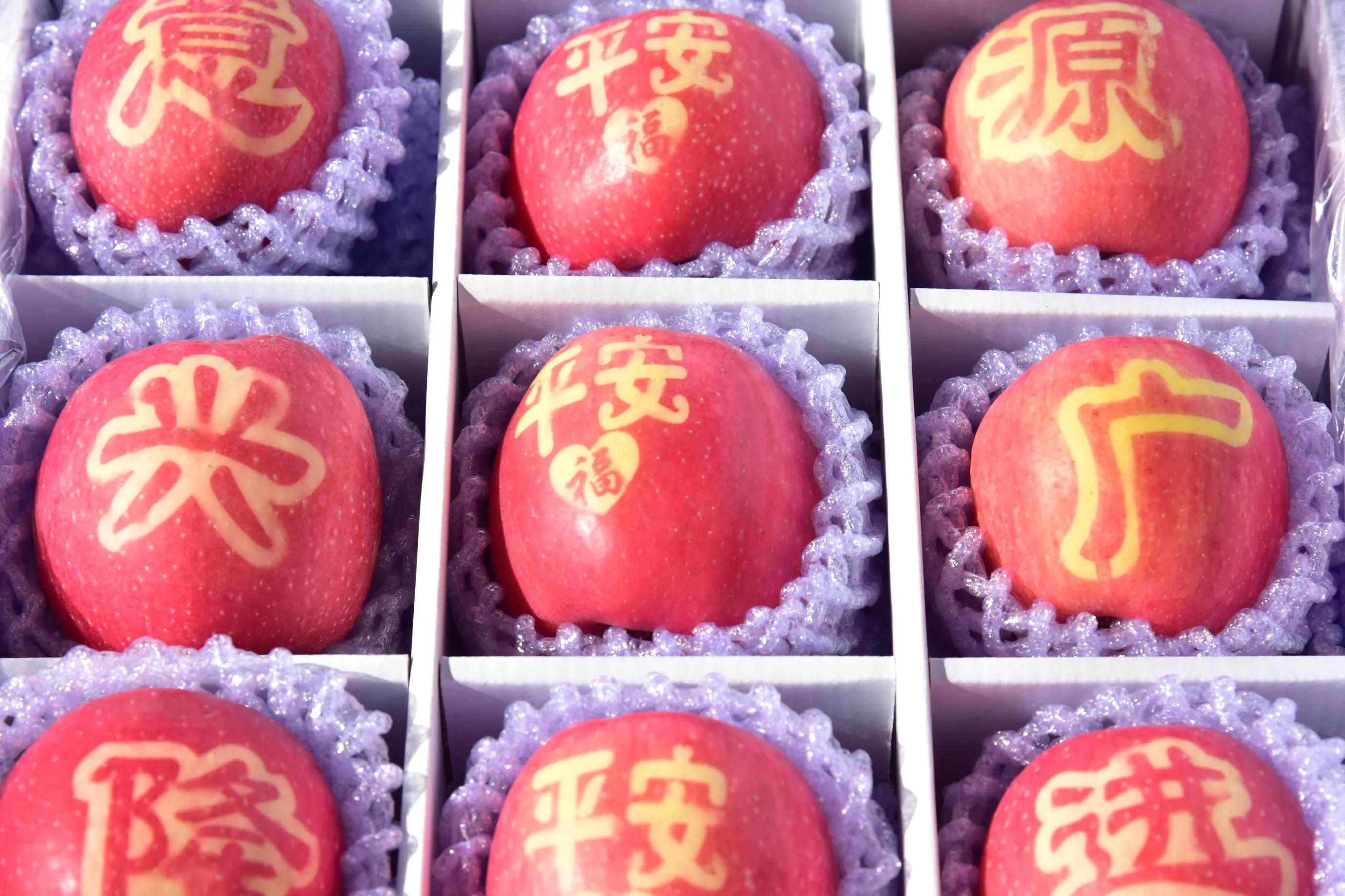 陕西白水苹果哪里最好,陕西白水苹果专卖店