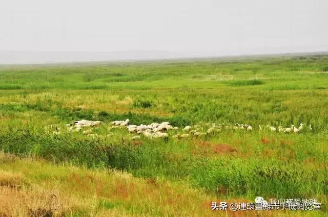 关于地理的名言诗词谚语,地理诗句谚语大全