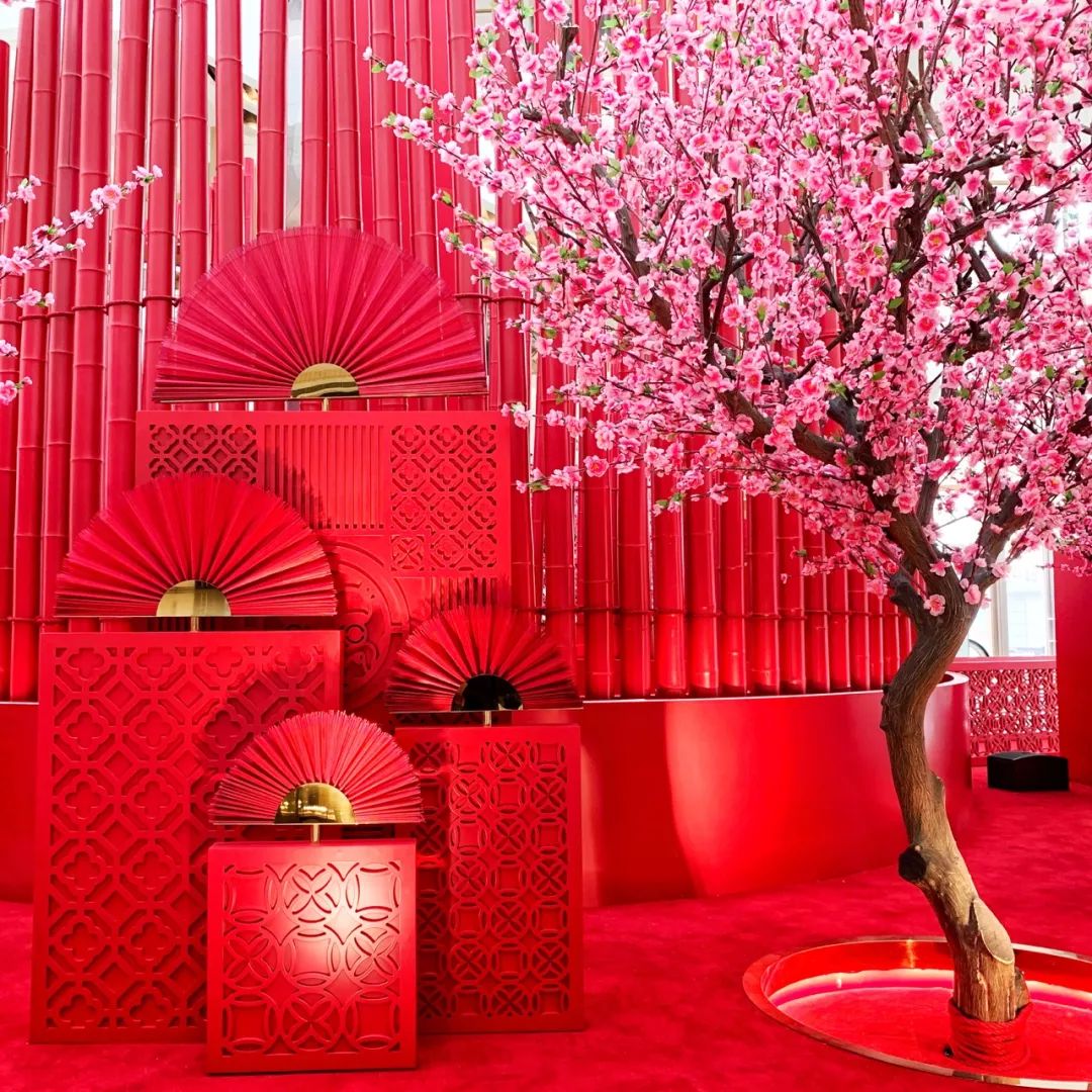 扫街日记01完整版,1月旅行日志