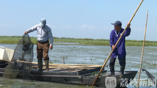 阳澄湖大闸蟹到底一年产量多少,今年阳澄湖大闸蟹上市时间及价格