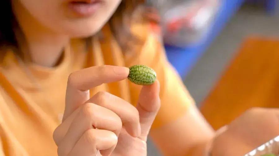 拼多多买水果哪家店好,拼多多买水果平台