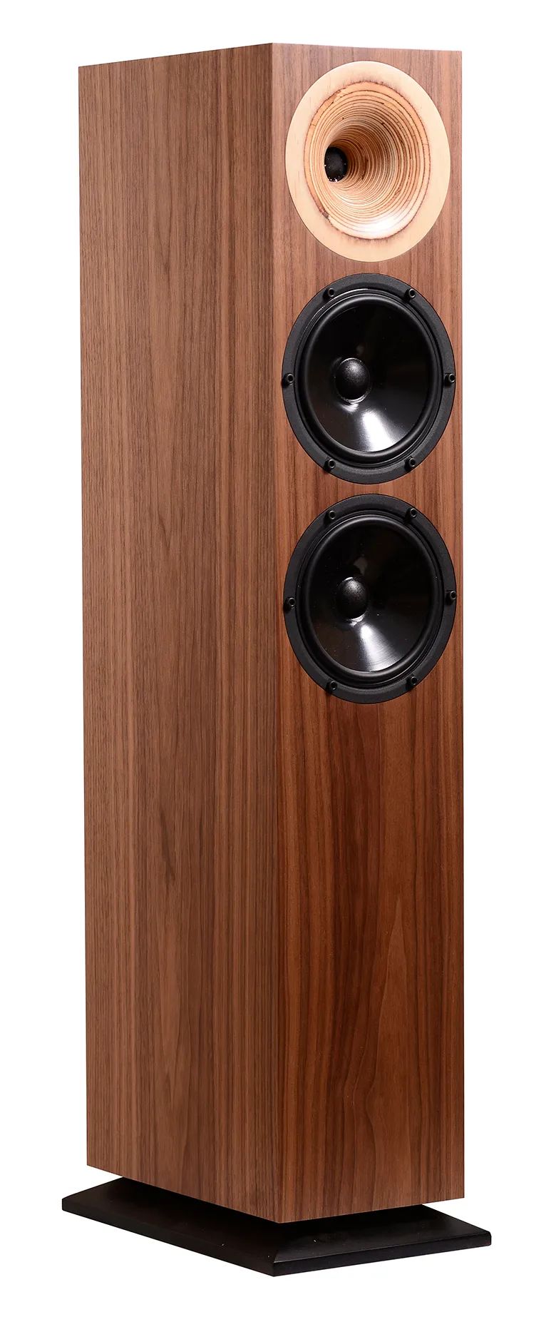 小功率胆机的福音——德国OdeonAudio奥丁Midas号角落地箱