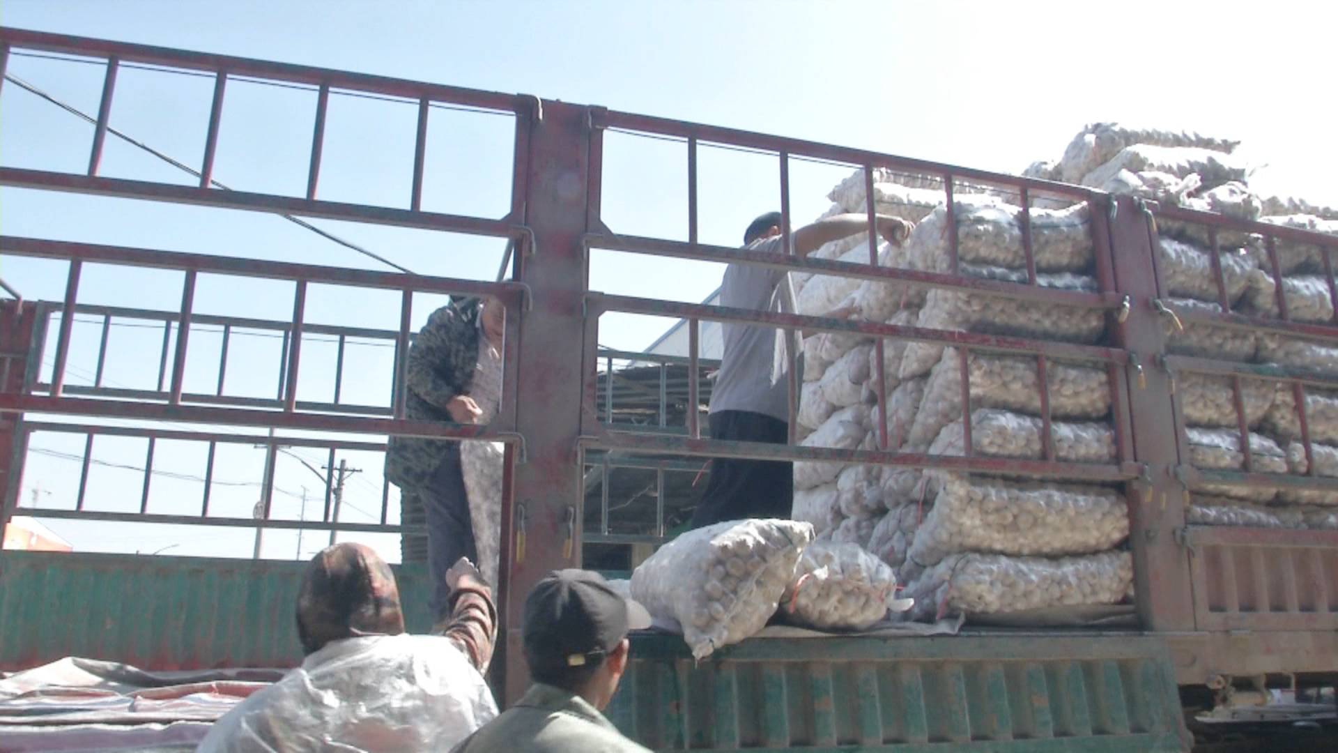 2020年大蒜价格预测多少元一斤,今年大蒜最高价格预计是多少