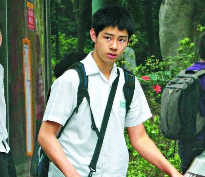 谭咏麟和妻子约好丁克,谭咏麟丁克夫妻现状