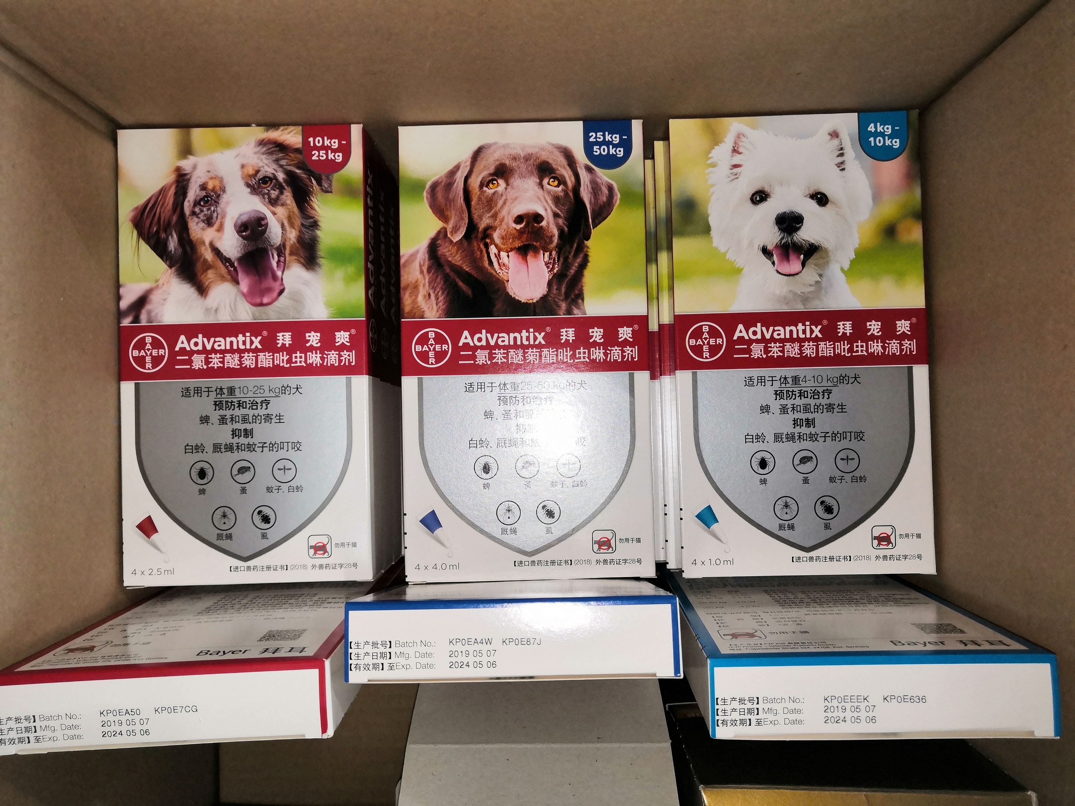 狗的驱虫药怎么用,人用驱虫药可以给狗用吗