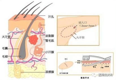 做一个香香公主,做个香香公主
