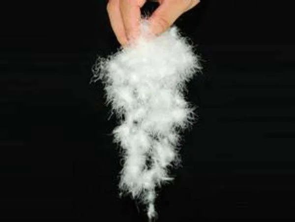 博洋家纺年终盛典,博洋家纺蜕变