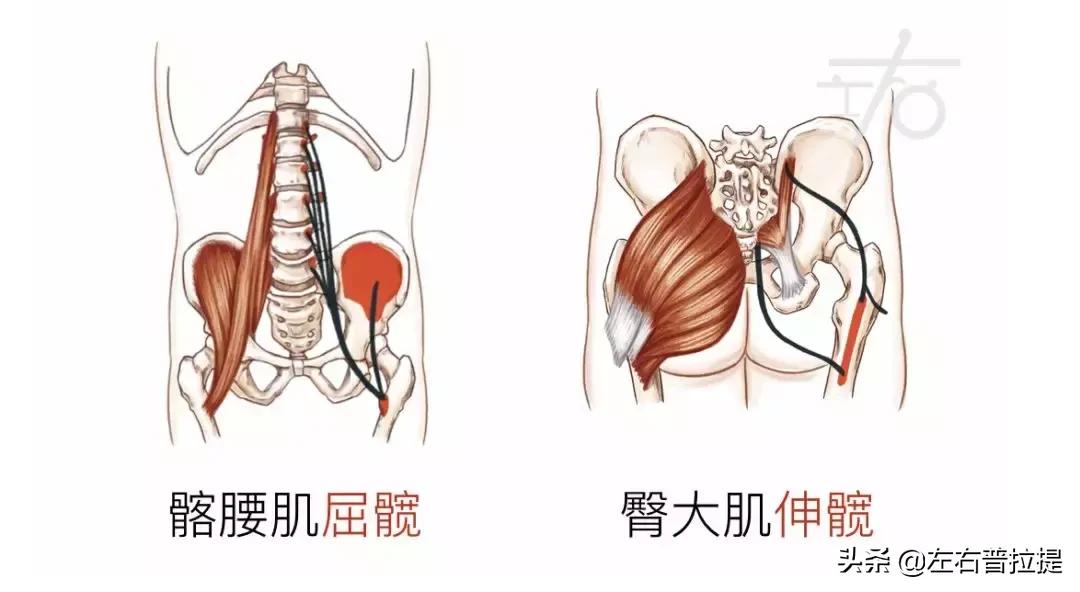 不压腿踢腿可以吗,不压腿能跳舞吗