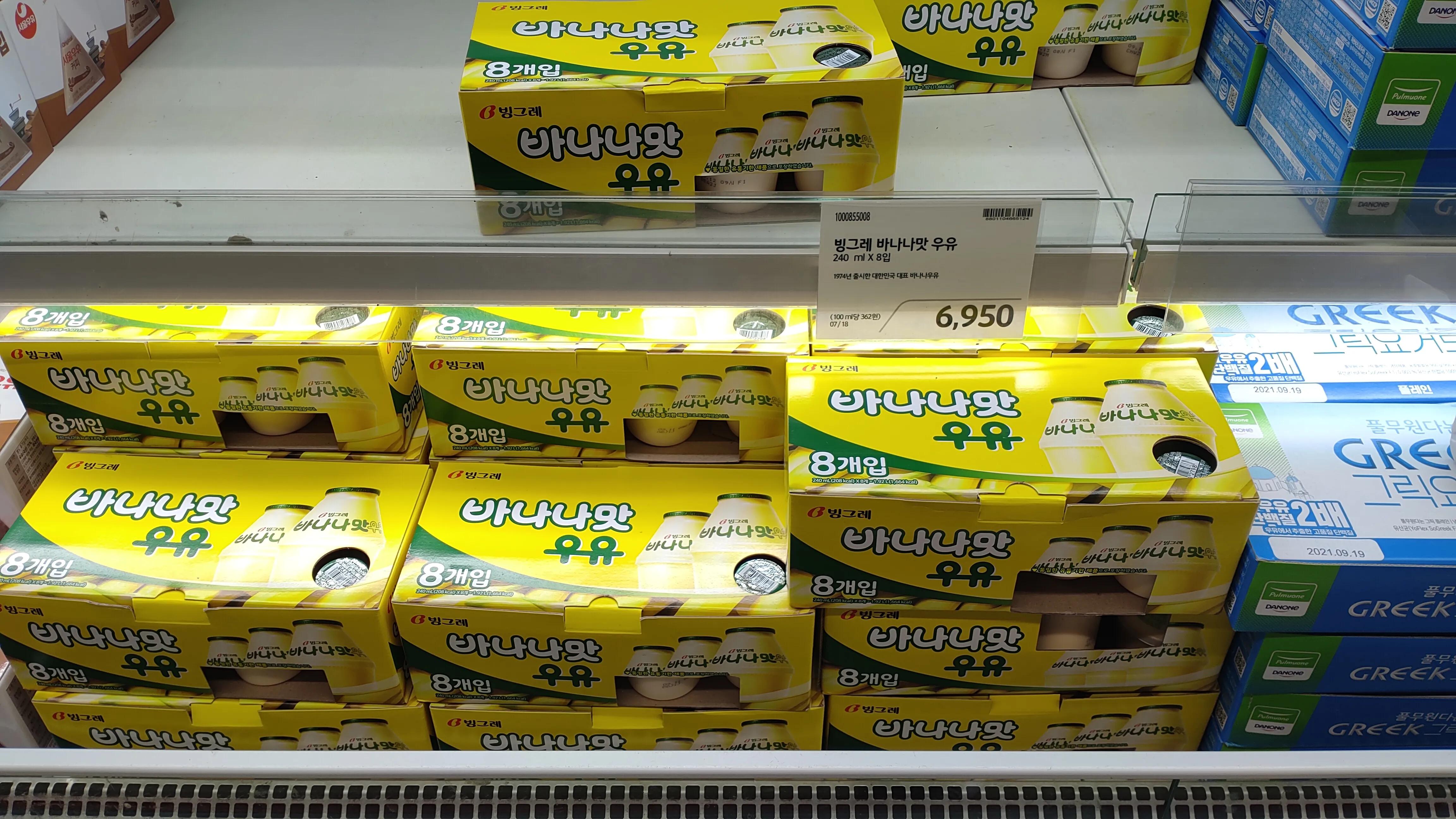 首尔layered咖啡,首尔很多萨摩耶的地方