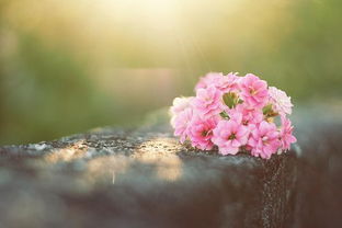 做人再穷不要丢掉原则,哪怕再穷做人的七条原则