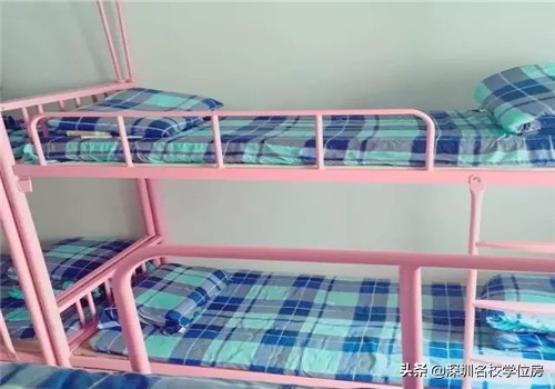 深圳公办高中各学校住宿情况,深圳民办高中住宿条件最好的