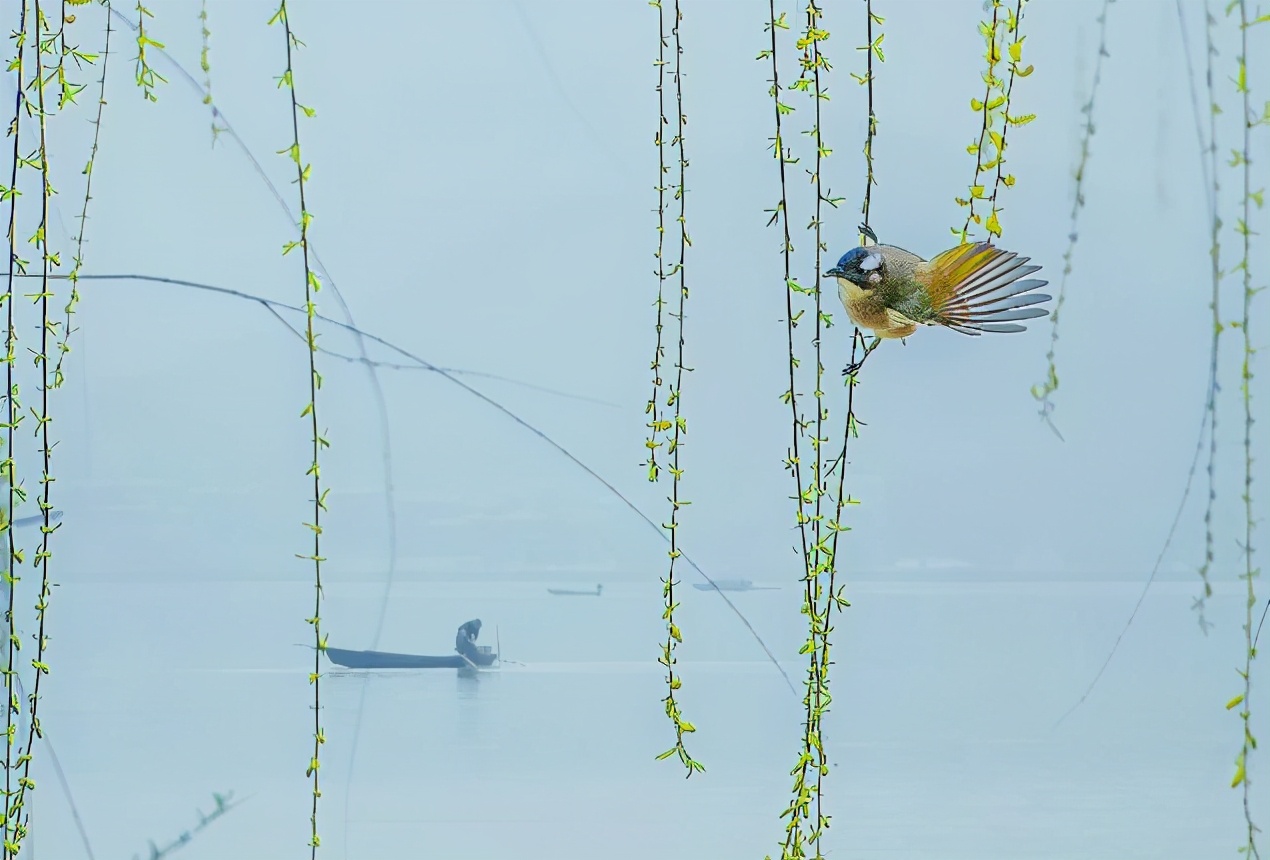 书藏古今港通天下,书藏古今港通天下央视