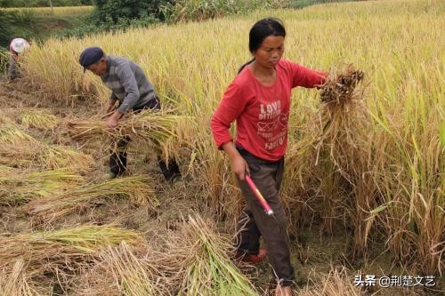 原生态山村农家,山村农家木瓦房