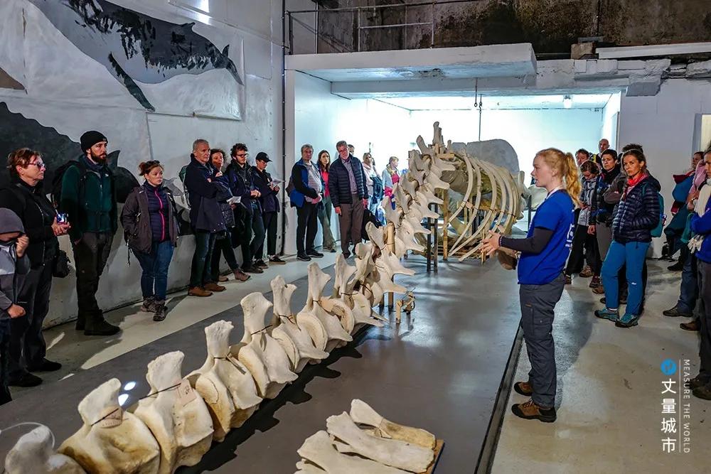 维京遇到全域旅游，美丽乡村、特色小镇一网打尽：挪威渔业史漫步